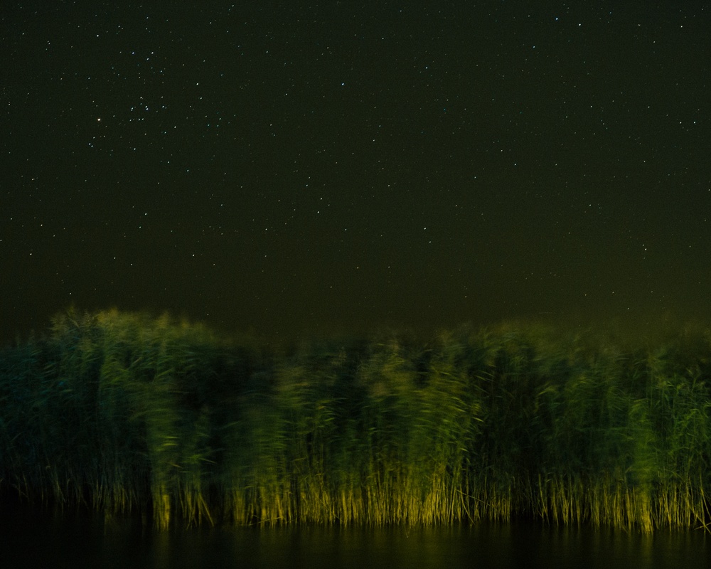 A starry night over the Curonian Lagoon. Thanks to limited artificial lighting, the sky above the Spit remains clear. This is important for birds, as illuminated buildings and billboards can disorient them and draw them off course.