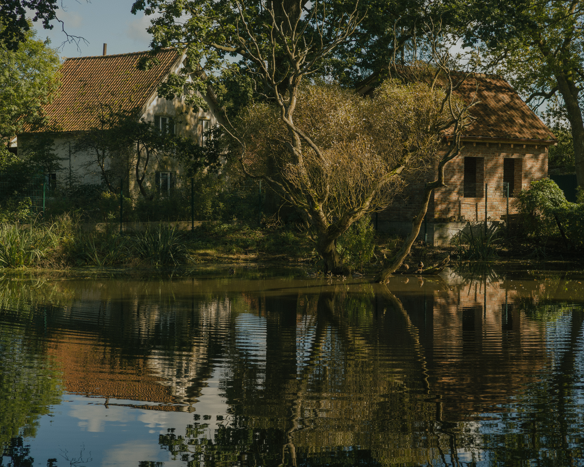 On the left — Johannes Thienemann’s house. On the right — a reconstruction of a small garden house he used as both a field laboratory and a place where he kept storks.