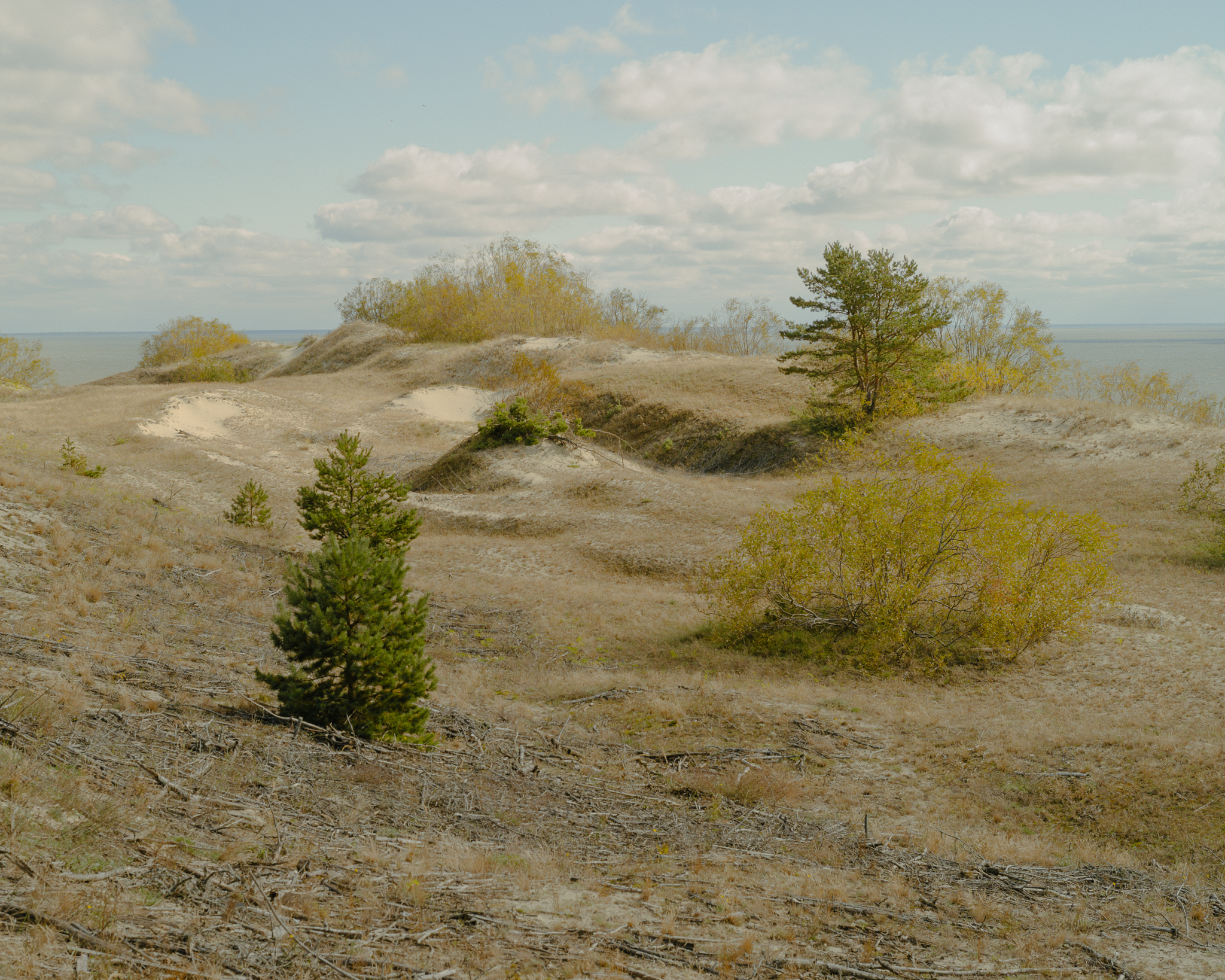 Epha’s Height — one of the highest dunes on the Curonian Spit