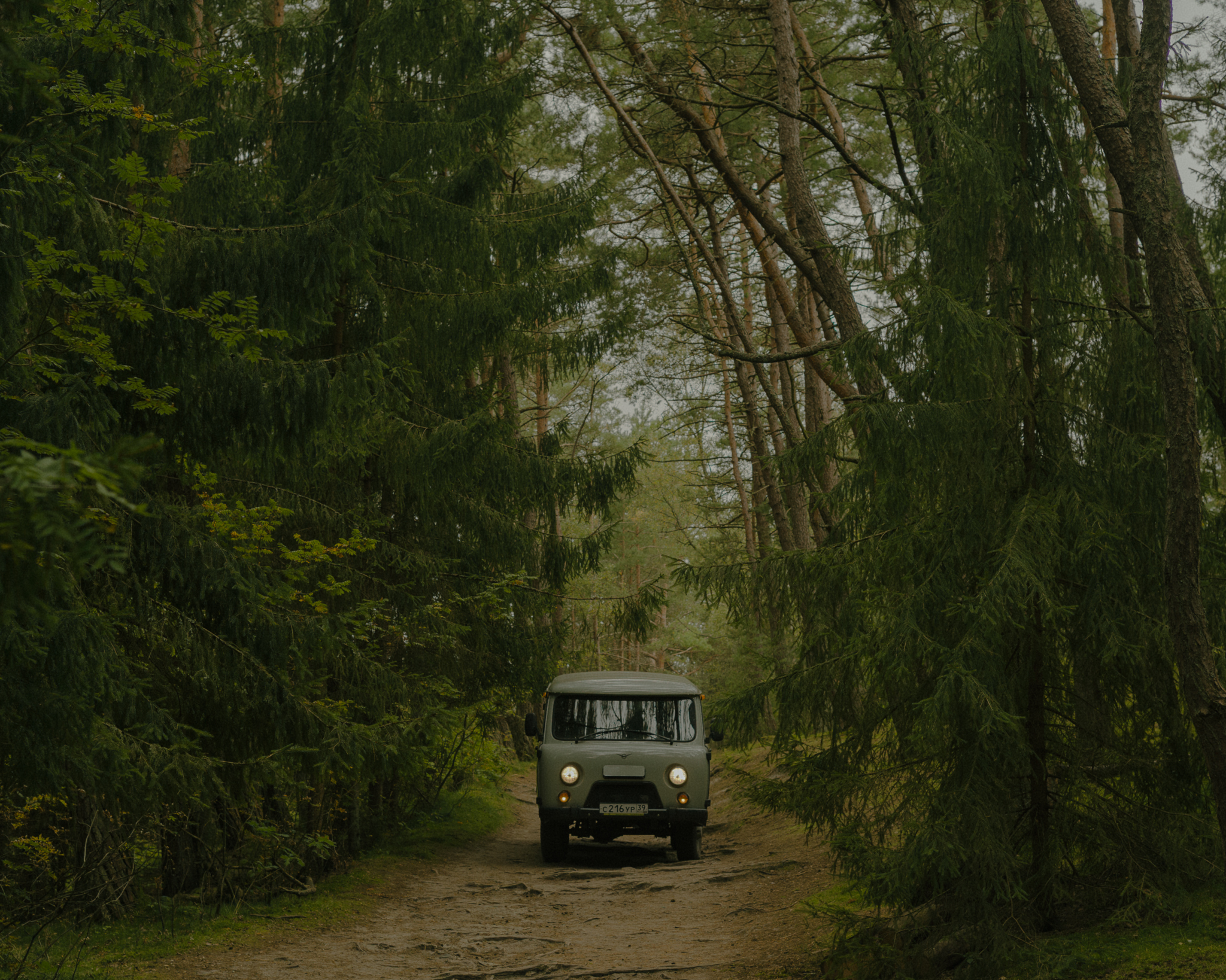 A UAZ “Bukhanka” — the main vehicle of the national park’s forestry service.